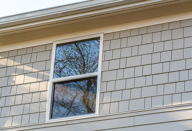 gallery19_42 gallery19_42